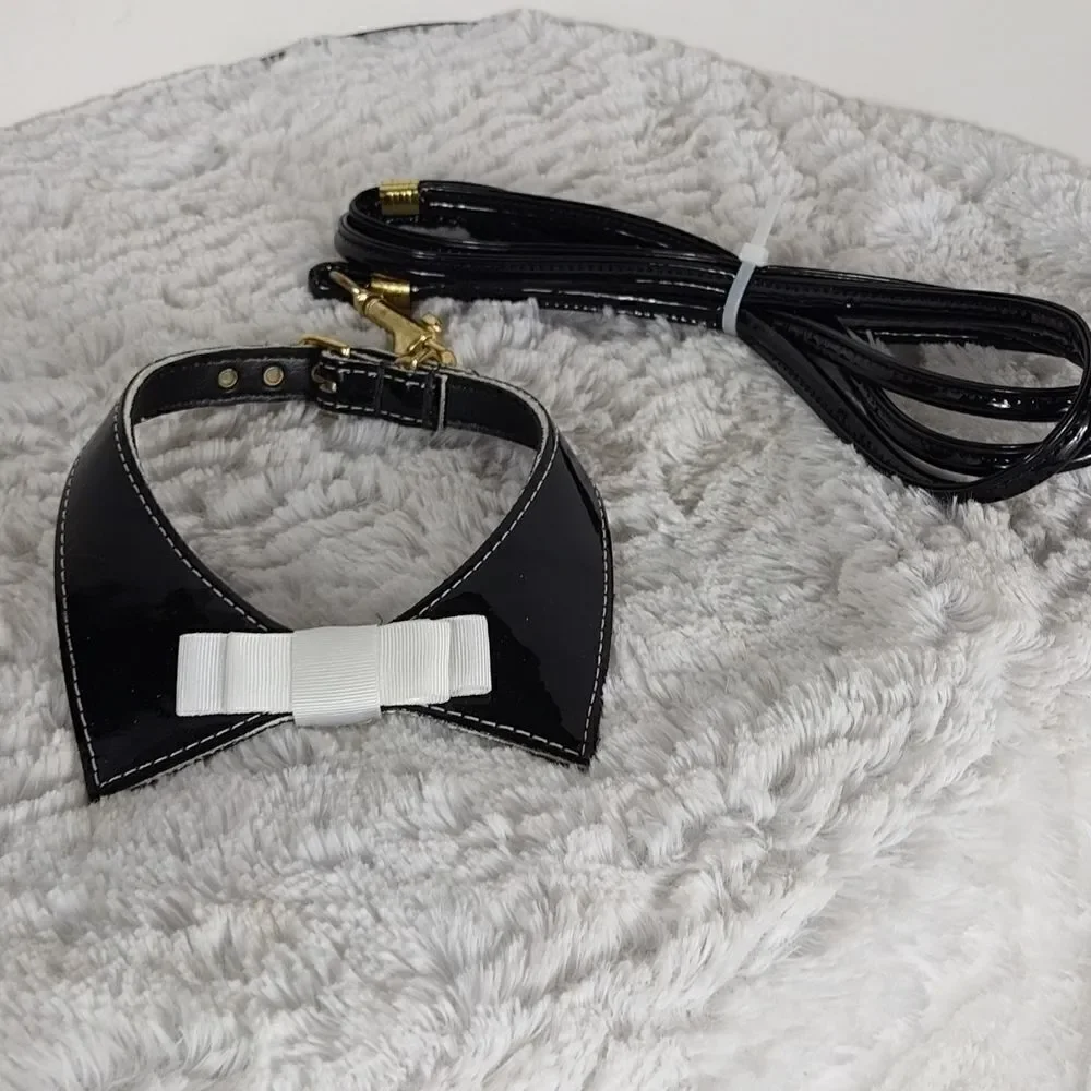 Dog Collar & Leash 12